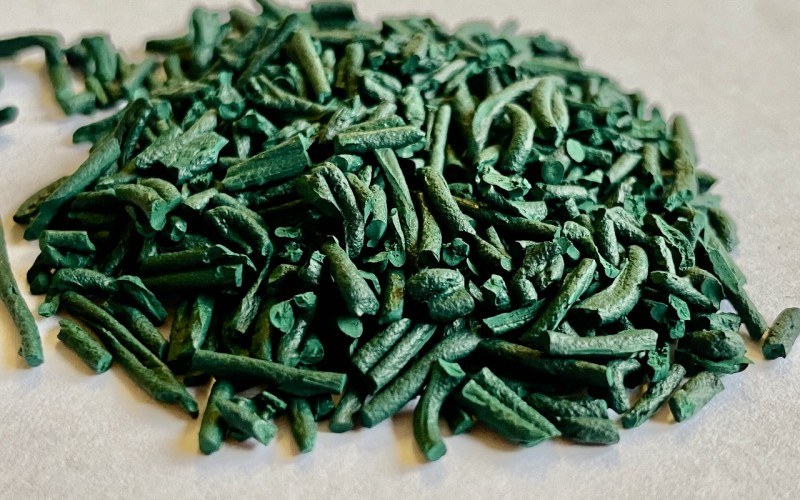 Paillette de spiruline qui a 5 ans — n'est pas différente de celle récemment produite Paillette de spiruline qui a 5 ans — n'est pas différente de celle récemment produite