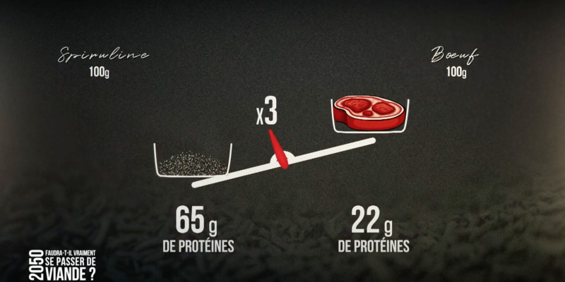 2050 faudra-t-il se passer de viande ? Infographie sur le taux de protéine